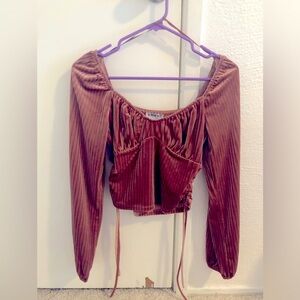 Sophie rue cropped velvet blush top